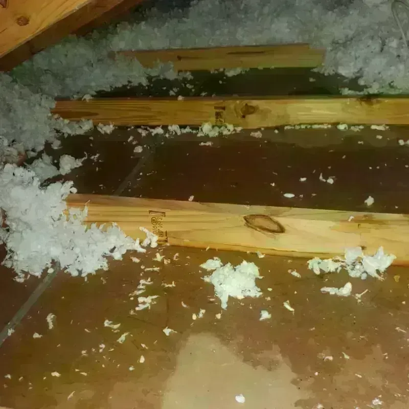 Attic Water Damage in Virginia, IL