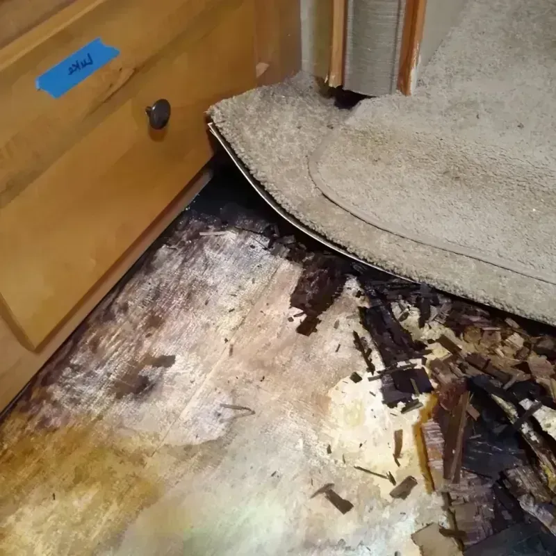 Best Wood Floor Water Damage Service in Virginia, IL